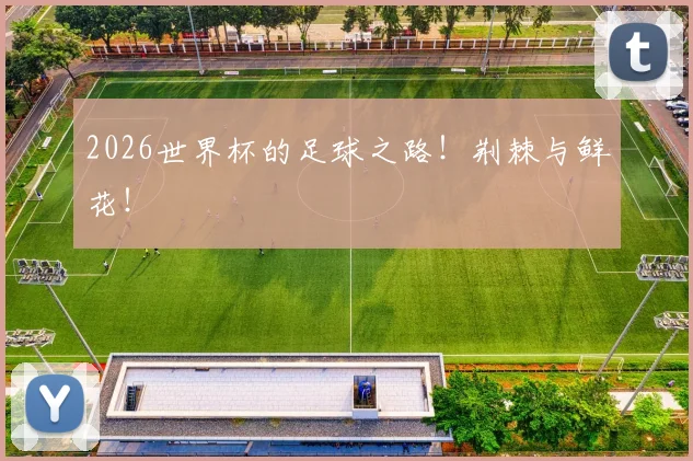 2026世界杯的足球之路！荆棘与鲜花！